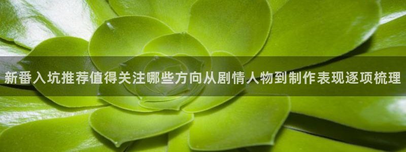 哔哩哔哩动画
