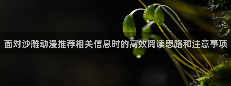 同人动漫网站免费入口:面对沙雕动漫推荐相关信息时的高效阅读思路和注意事项