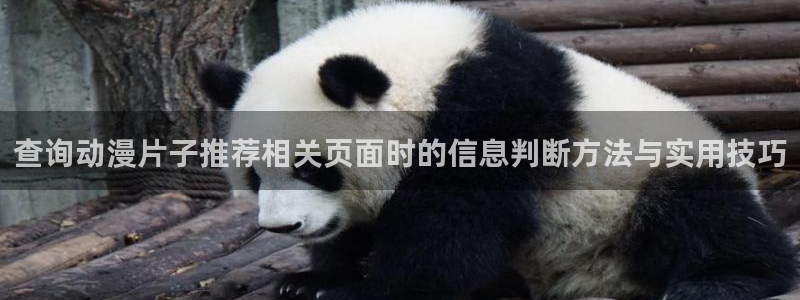 肯普法免费动漫