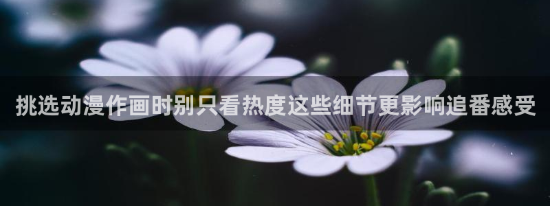 漫漫动漫：挑选动漫作画时别只看热度这些细节更影响追番感受