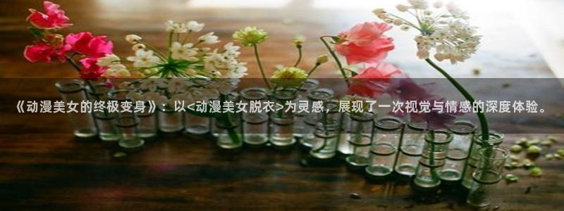 名侦探柯南动漫