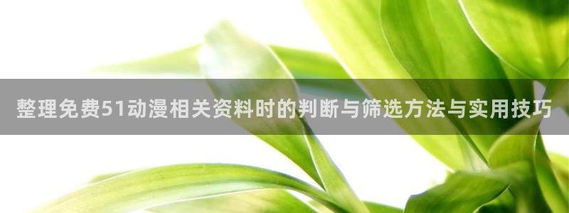 儿童动画推荐：整理免费51动漫相关资料时的判断与筛选方法与实用技巧