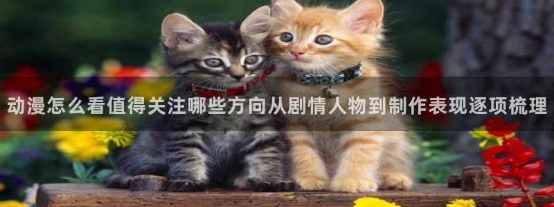 情头动漫黑白:动漫怎么看值得关注哪些方向从剧情人物到制作表现逐项梳理