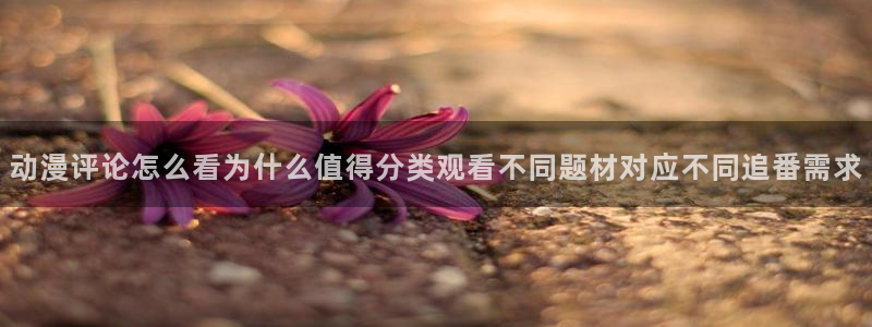 儿童动画推荐:动漫评论怎么看为什么值得分类观看不同题材对应不同追番需求